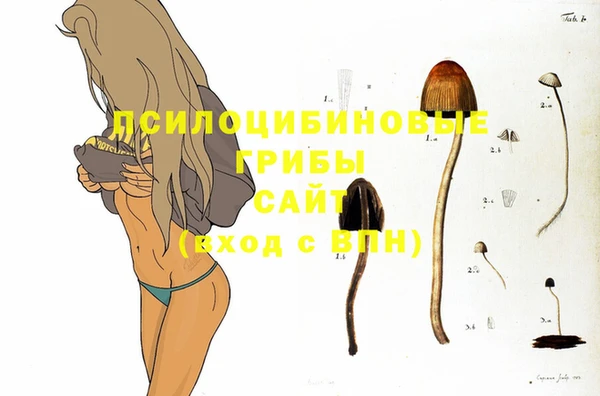 гидра Данков