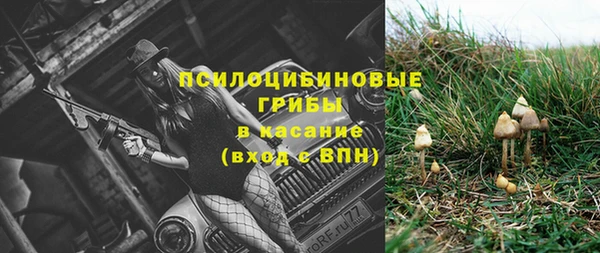 МДПВ Пестово