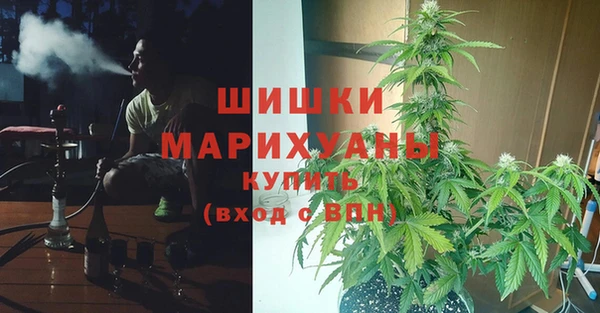 стафф Пересвет