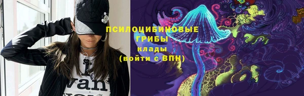 МДПВ Дегтярск