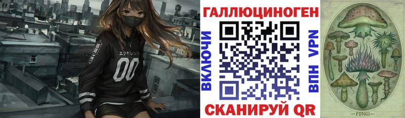 Галлюциногенные грибы Psilocybe  Бодайбо 